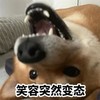 萌宠 汪星人 笑容突然变态 无奈 呆萌 可爱