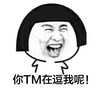 蘑菇头 大笑 夸张 你TM在逗我呢