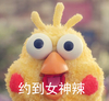 约到女男神 约到女神辣 鹦鹉兄弟