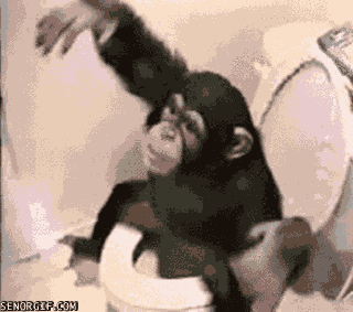 猴子 动物 厕所 颤抖