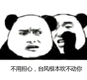 台风 熊猫头 吹不动 搞笑 逗