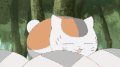 猫咪 玩耍 玩具 球