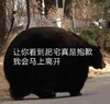 沙雕图 沙雕表情包 今日沙雕