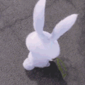 兔子 萌萌哒 白色