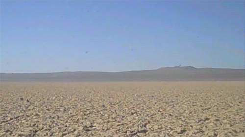 沙漠 气垫 船 飘移 干燥 desert