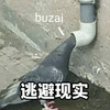 逃避 现实