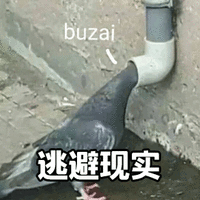 逃避 现实