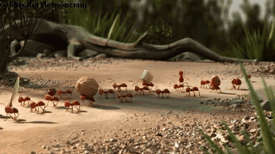 蚂蚁 搞笑 动态 动画