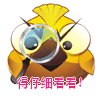 鸟  看看   动画   动态