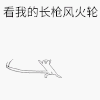 斗图 看我的长枪风火轮 嘚瑟 soogif soogif出品