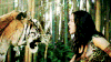 凯蒂·佩里 Katy+Perry