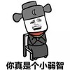 金馆长 你真是个小弱智 嘲笑 包青天