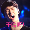 大叫 张艺兴 EXO组合 干哈呀