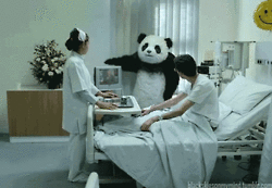电视 熊猫