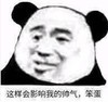 熊猫头 文字表情包 这样会影响我的帅气笨蛋 搞怪 逗 沙雕
