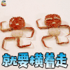 蟹蟹 谢谢 就要横着走 螃蟹 soogif soogif出品