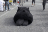 熊本熊 爬行 可爱 搞笑 萌萌哒