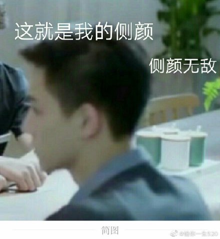 晏紫东 搞笑 小哥哥 帅气 文字表情包