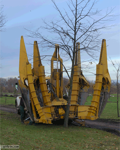 机械 挖树 全自动 科学