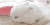 兔子 soogif soogif出品