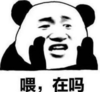 文字表情包 在吗 搞笑 可爱 萌