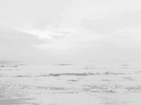 海滩 beach nature