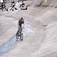 自行车 翻跟头 短发 黑色