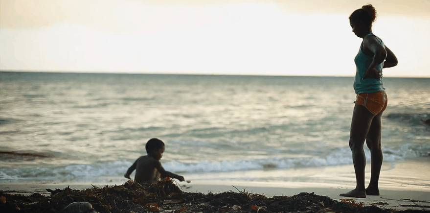 塞舌尔群岛 母子 海边 温馨 玩 纪录片 风景