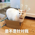 萌宠 猫咪 喵星人 针对我 蒙圈