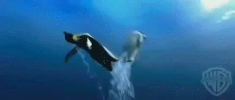 企鹅 花样 心形 水里