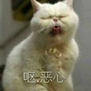 萌宠 猫星人 恶心 想吐 呆萌 可爱