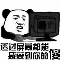 金馆长 熊猫 电脑 透过屏幕 感到你的傻