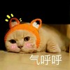 猫咪 呆萌 头饰 气呼呼
