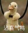 萌宠 鸭子 沾喜气呀 沾沾喜气 可爱 活泼