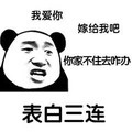 表白三连 我爱你 嫁给我吧 你家不住去咋办 金馆长 熊猫 咧嘴