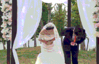 新娘 新婚祝福 结婚 幸福