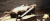 害死 运动 时尚 动物 喵星人 萌 gif