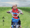 骑车  小朋友  草原 帅气