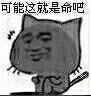可能这就是命吧    喵星人  
冷笑   不开心