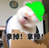 萌宠 猫星人 拿掉 走开 呆萌 可爱