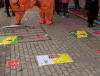 猫咪 街头 打架 搞笑