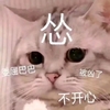 萌宠 喵星人 委屈巴巴 你居然凶我 憨憨 可爱