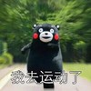 熊本熊 奔跑 呆萌 我去运动了