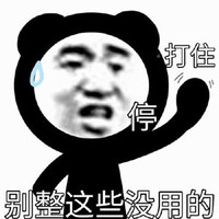 暴漫 熊猫头 别整这些没用的 打住 搞怪 逗