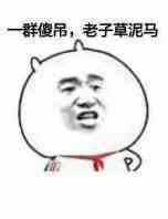 一群傻屌老子草泥马 金馆长 红领巾 恶搞
