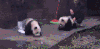 我要玩 拉开 回来 不要去 不听话 爱闹