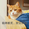 我什么都没有 穷 衰 猫
