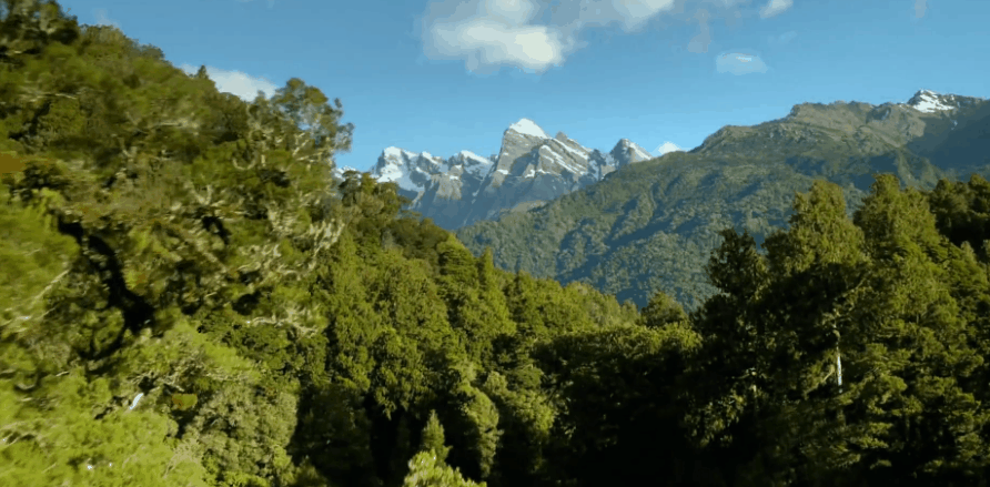 BBC 地球上的神话之岛 孤岛漂泊 山脉 新西兰 森林 风景
