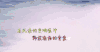 我们十七岁 旅游实景真人秀 华少 魏大勋 大海