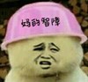 金馆长 恶搞 帽子 妈的智障